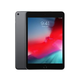 Cランク iPad mini 第5世代 64GB スペースグレイ Wi-Fi