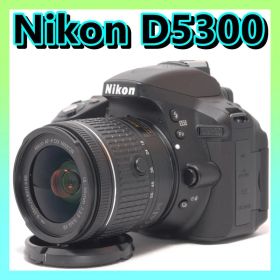 ⭐️Wi-Fi搭載＆高画質⭐️Nikon D5300 ニコン デジタル一眼レフ