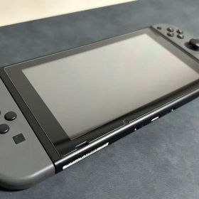 Switch Nintendo Switch グレー 保護ケース付き