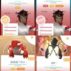 引退破格‼️大幅値下げ‼️ | ポケモンGOのアカウントデータ、RMTの販売・買取一覧