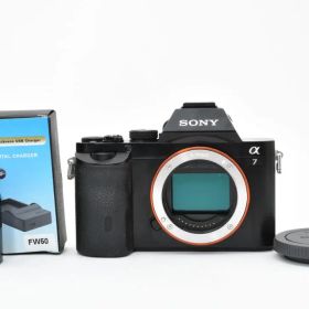 ショット数3179枚■α7 ILCE-7 ボディ