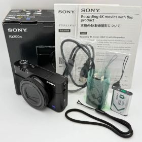 【極上美品】SONY CyberShot RX100V(DSC-RX100M5A