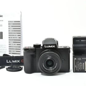 ★美品★ パナソニック Panasonic LUMIX DC-G100V ボディ G VARIO 12-32mm F3.5-5.6 H-FS12032 ミラーレス一眼 レンズセット ★ L39#7118