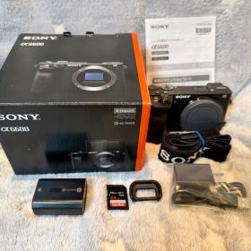 SONY α6600 ミラーレス一眼 本体・付属品一式 元箱付 中古美品