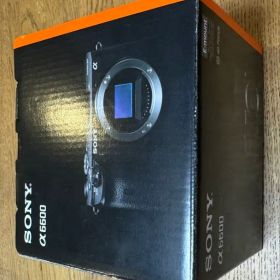 SONY α6600 本体と付属品