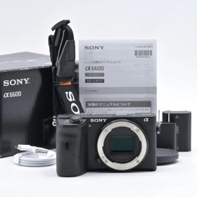 SONY ソニー α6600 ボディ ILCE-6600 ミラーレス一眼レフカメラ【中古】