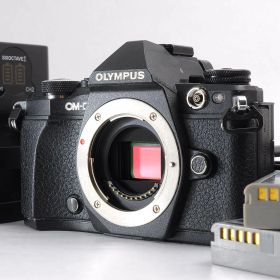 ■美品■ OLYMPUS（オリンパス） OM-D E-M5 Mark II / 高性能ミラーレス / 手ブレ補正搭載