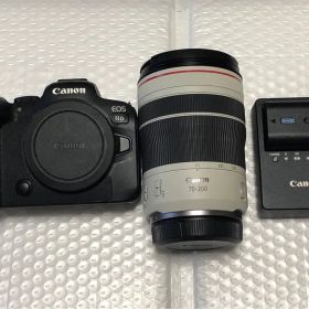 訳あり‼️Canon EOS R6 セット