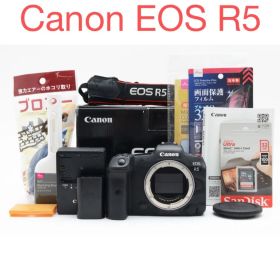 付属品満載 元箱 ミラーレス一眼カメラCanon EOS R5