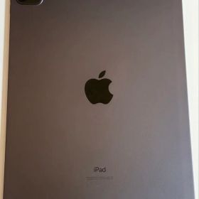 Apple iPad Pro 11インチ 第2世代 Wi-Fiモデル 国内版