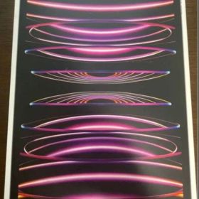 ［状態良好］iPad Pro 11 インチ 第4世代