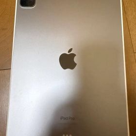 Apple iPad Pro 11インチ 4世代256GB