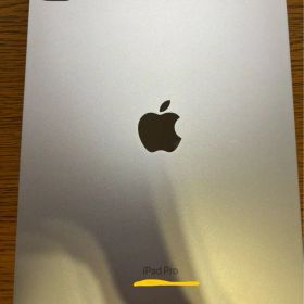 【美品】 iPad Pro 11インチ 256GB Wi-Fiモデル 第4世代