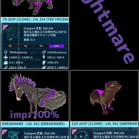 RARE SUPPORT ナイトメア3種追加11/29更新 | ARK Survival Evolvedのアカウントデータ、RMTの販売・買取一覧