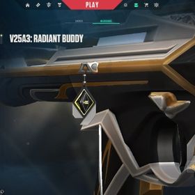 V25 Radiant スキン複数 | VALORANT(ヴァロラント)のアカウントデータ、RMTの販売・買取一覧