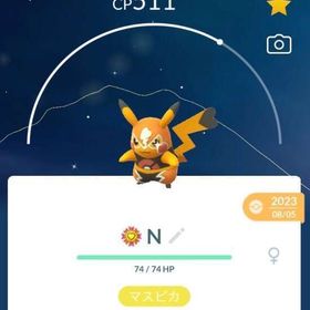 マスクドピカチュウ色違いトレード販売【国産】 | ポケモンGOのトレード(モンスター)、RMTの販売・買取一覧