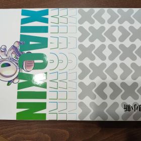 Xiaoxin pad pro 2025 12.7インチ 8/256gbペン付属