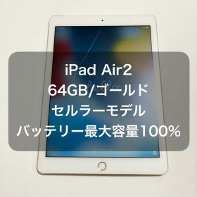 年内大幅値下げ iPad Air2 セルラーモデル 本体 64GB ゴールド