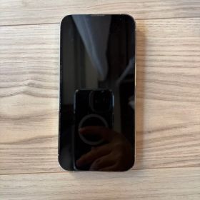 Apple iPhone 13 Pro シルバー 512GB 79%