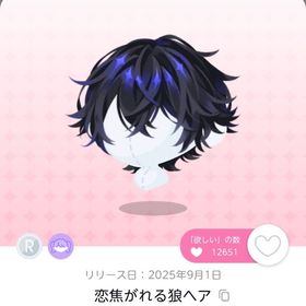 恋焦がれる狼ヘア 双子分 | ポケコロツイン(ポケツイ)のアカウントデータ、RMTの販売・買取一覧