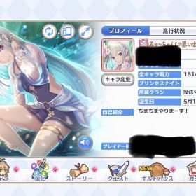 引退垢 | プリンセスコネクト(プリコネR)のアカウントデータ、RMTの販売・買取一覧