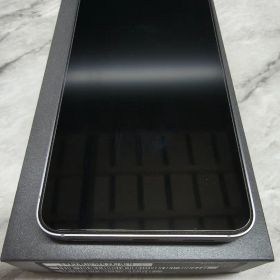 au Galaxy S25 シルバーシャドウ 12GB 512GB SCG31