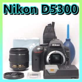 ⭐️Wi-Fi搭載＆手ぶれ補正⭐️Nikon D5300 ニコン デジタル一眼