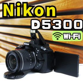 【動作確認済】Nikon D5300 デジタル一眼レフカメラ Wi-Fi 動画