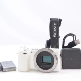 SONY デジタル一眼カメラ「NEX-5T」ボディ ホワイ NEX-5TY-W