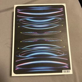iPad Pro 12.9 第6世代 Wi-Fi+Cellular 2TB