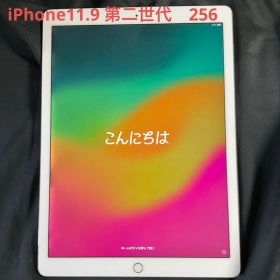 iPad Pro12.9 第2世代 256GB