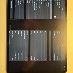 ジャンク Apple iPad pro 12.9 第三世代256GB セルラー