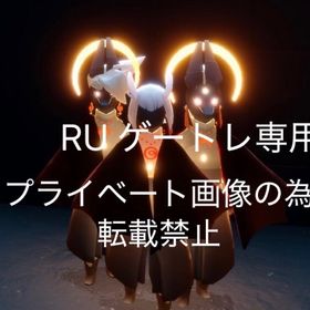 アヌビス 耳飾り 🕊️アカウント探しています | Sky 星を紡ぐ子どもたちのアカウントデータ、RMTの販売・買取一覧