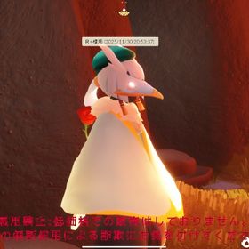 R✧様お取り置き用 12/31 | Sky 星を紡ぐ子どもたちのアカウントデータ、RMTの販売・買取一覧