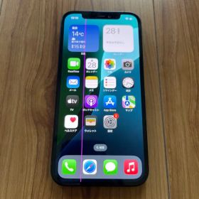 iPhone12 128GB docomo端末 完動品