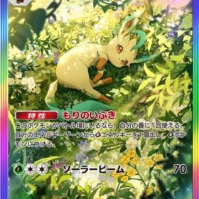 【🌈枠ブイズ】 リーフィア 【トレード】 | ポケポケ(ポケモンTCGポケット)のアカウントデータ、RMTの販売・買取一覧