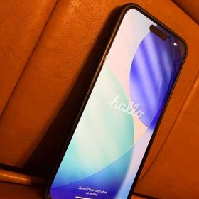 シャッター消音可 iPhone 15 Pro Max 256GB 海外 おまけ有