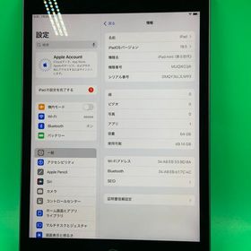 ★激安 iPad mini 第5世代 Wi-Fi 64GB スペースグレイ mini5