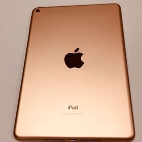 【モバイルBOX】動作正常品 SIMフリー Apple iPad mini 第5世代 256GB
