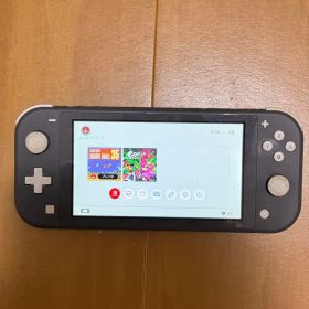 Nintendo Switch Lite 本体のみ