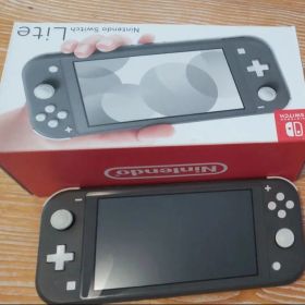 Nintendo Switch Light グレー ジャンク