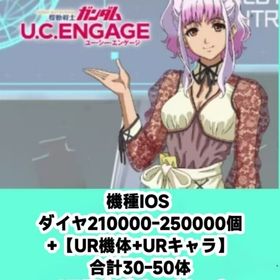 機種IOS ダイヤ210000-250000個+【UR機体+URキャラ】合計30-50体+UR确定ガ | ガンダムUCエンゲージ(ガンダムUCE)のアカウントデータ、RMTの販売・買取一覧