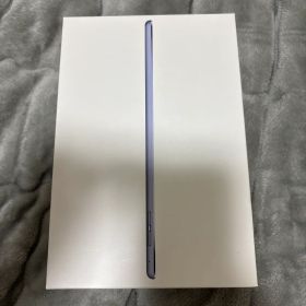 Apple iPad mini 4 16GB 96% スペースグレイ