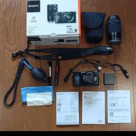 SONY α6000 ミラーレス一眼