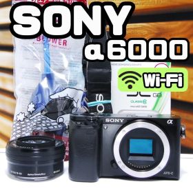 【動作確認済み】 Sony α6000ミラーレス一眼カメラ Wi-Fi 瞳AF