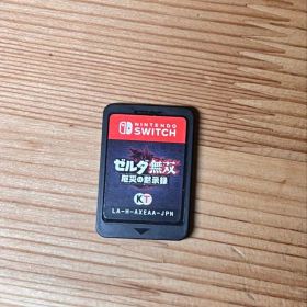 ゼルダ無双 厄災の黙示録 Nintendo Switch