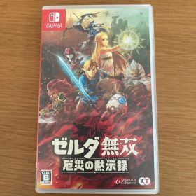 ゼルダ無双 厄災の黙示録