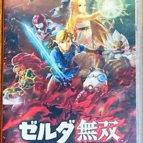 任天堂スイッチソフトゼルダ無双厄災の黙示録⭐️無双100年の前の戦場（動作確認⭕️）