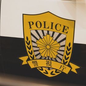 バイナル製作依頼 | Car Parking Multiplayerの代行、RMTの販売・買取一覧