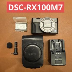 SONY DSC-RX100M7